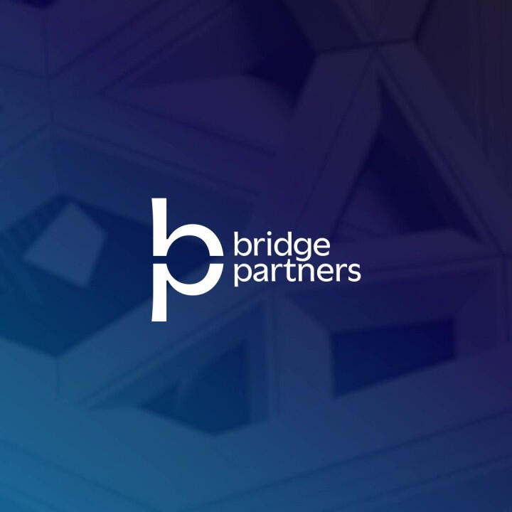 Bridge Partners